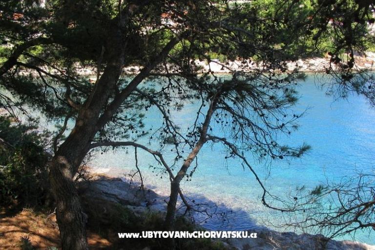 Sea Dom – foto 17