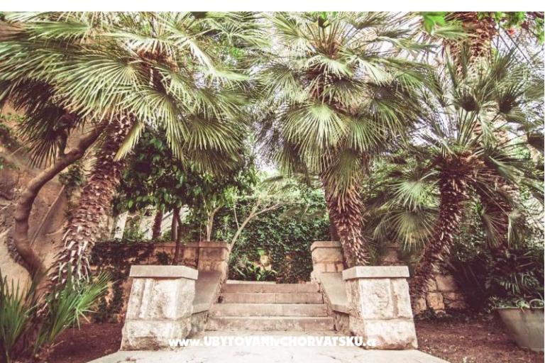 Villa Arboretum – foto 6