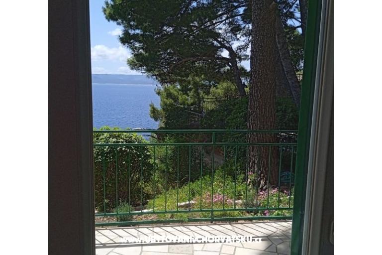 Accommodation Leon – foto 23