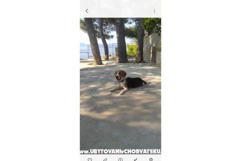 Accommodation Leon – foto 29