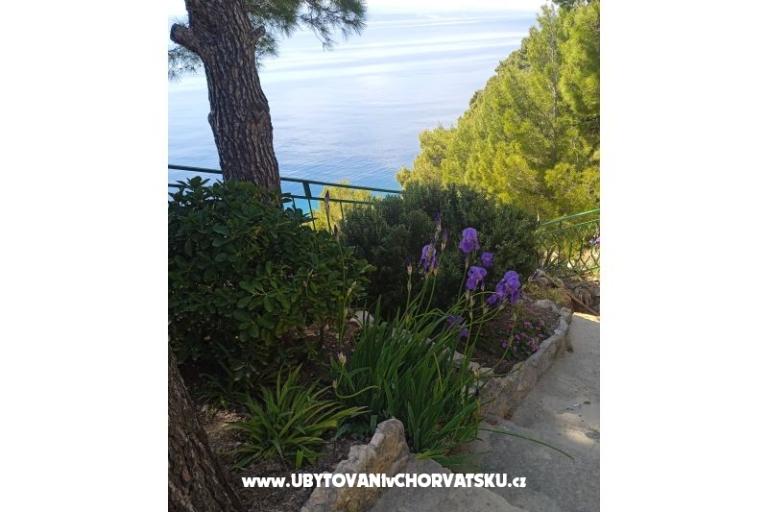 Accommodation Leon – foto 5