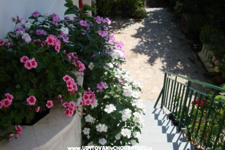 Apartament Nada Žamić – foto 7