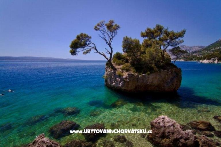 Apartament Villa Tunja – foto 10