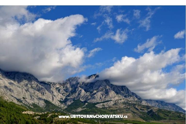 Apartamenty Jovic – foto 16