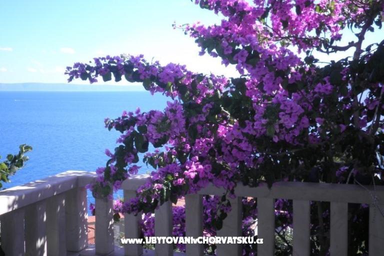 Apartamenty Perla – foto 15