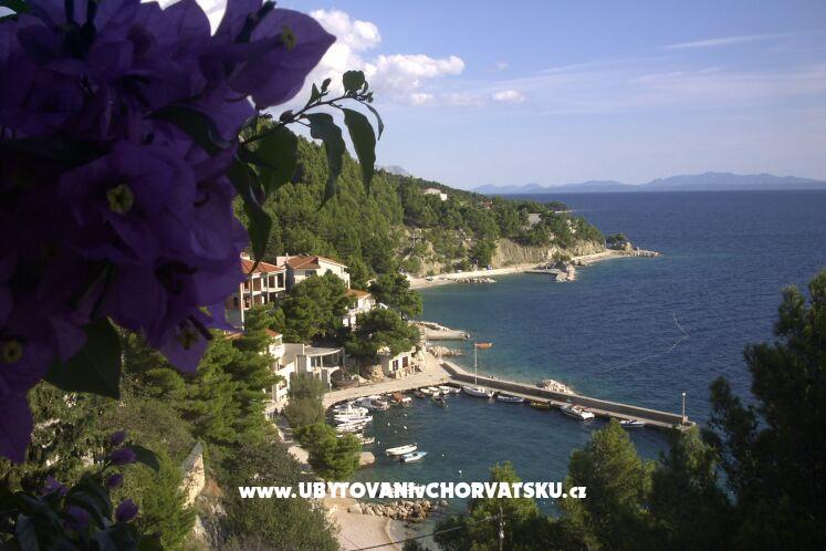 Apartamenty Jagoda – foto 3