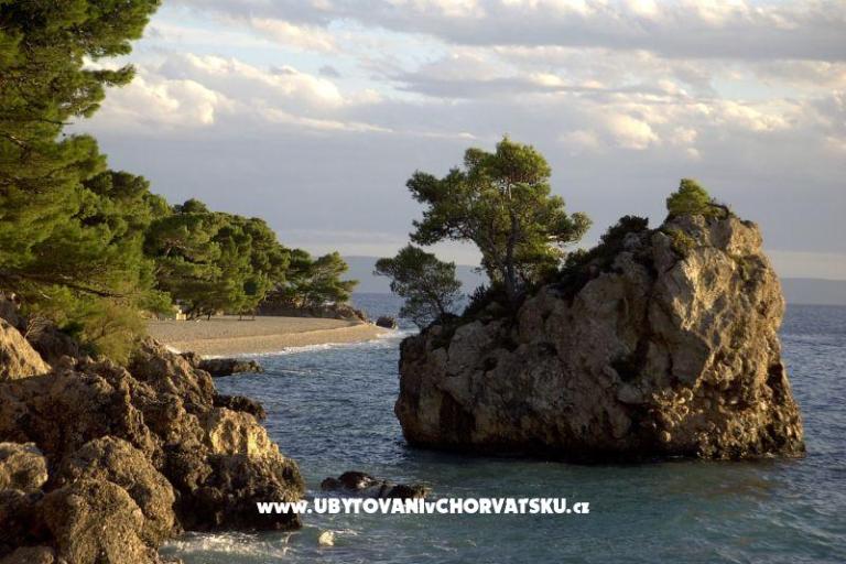 Apartamenty Jagoda – foto 8