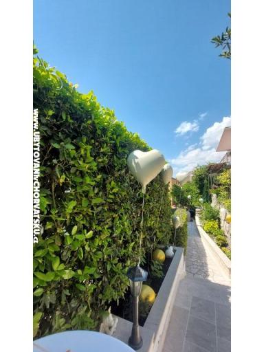 Apartament Renata – foto 19