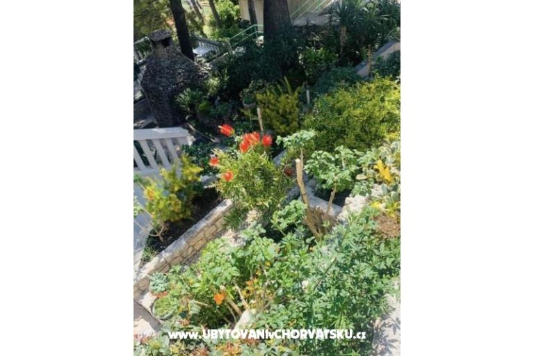 Apartamenty More – foto 6