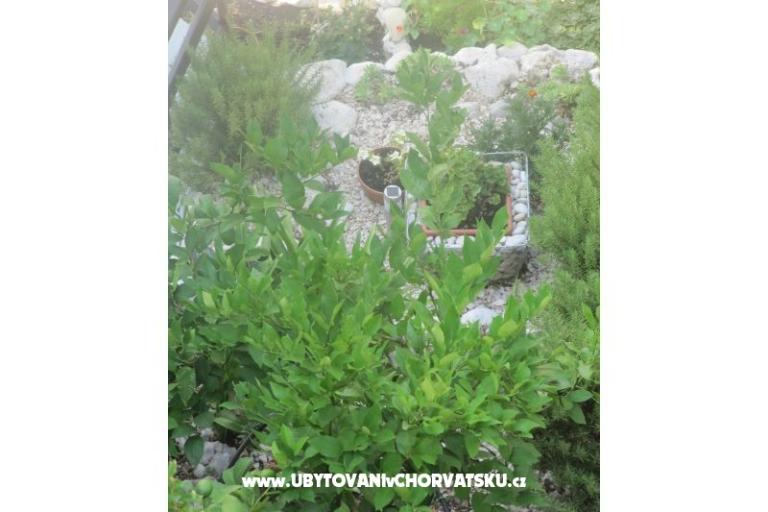Apartamenty  Ivo Pikolo – foto 18