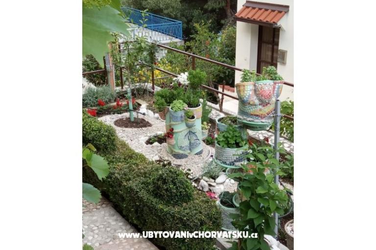 Apartamenty  Ivo Pikolo – foto 5