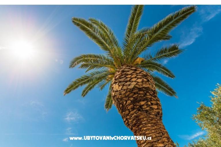 AApartamenty Brela Jago – foto 3