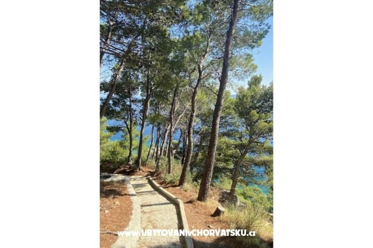 Apartamenty EOL – foto 11