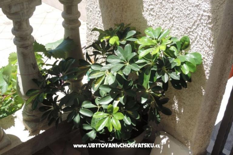 Dom Željko i Marija – foto 10