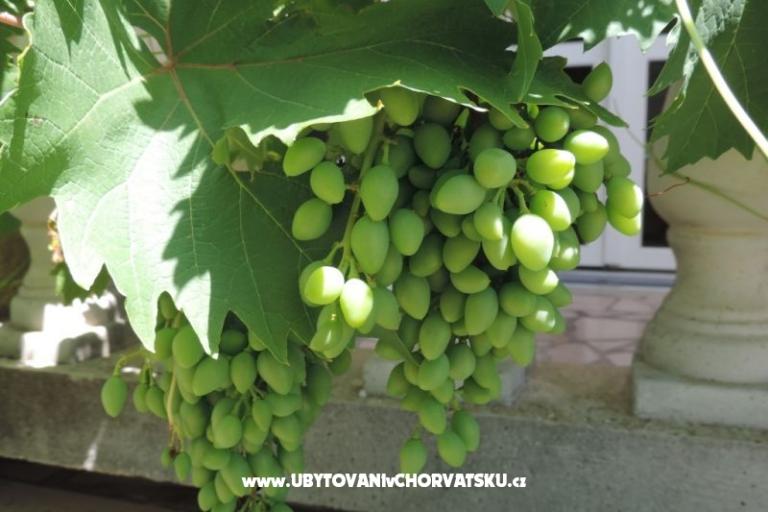 Dom Željko i Marija – foto 13