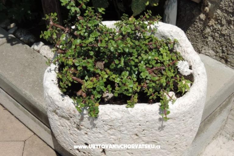 Dom Željko i Marija – foto 6