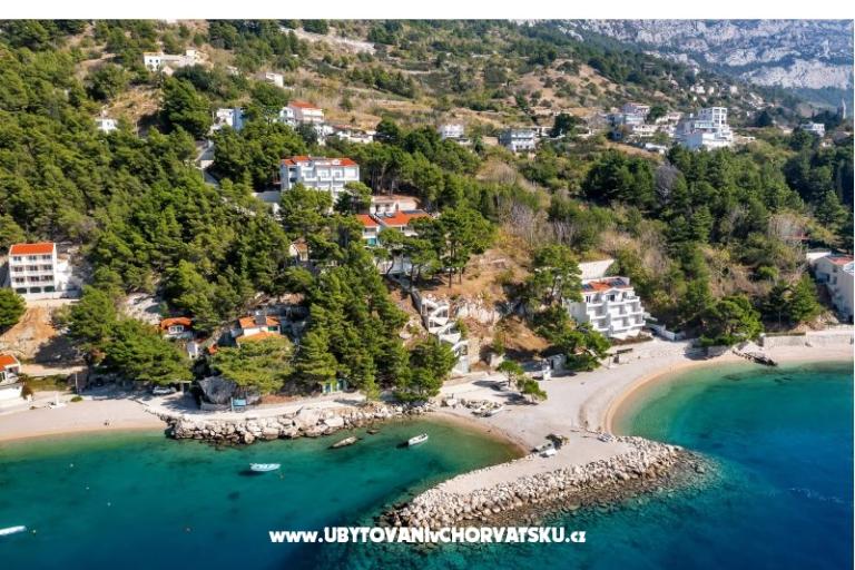 Pine Canopy Studios and Apartamenty – foto 6