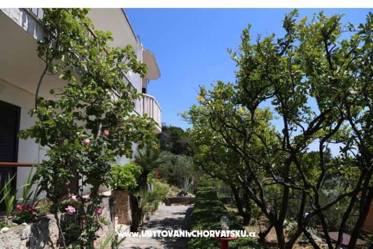 Apartamenty Mare – foto 17