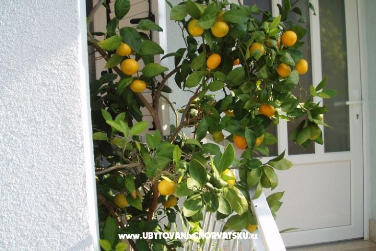 Apartamenty Orbanić – foto 14