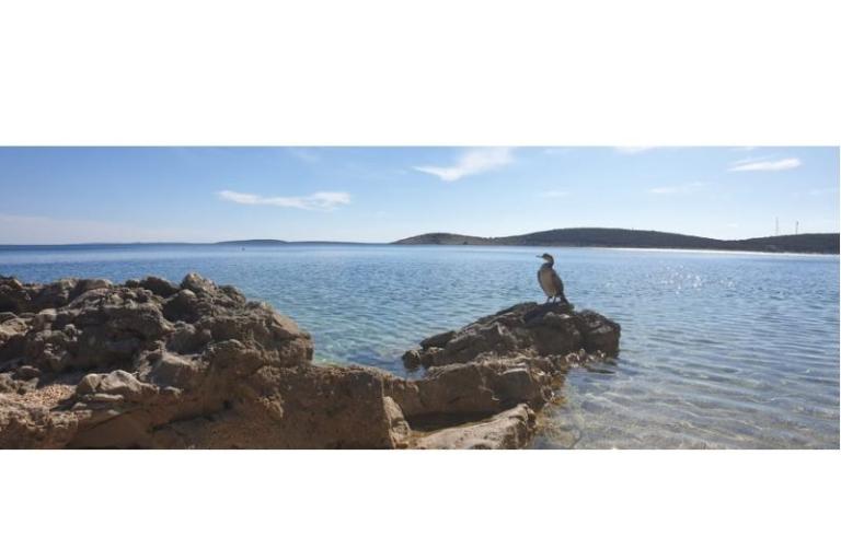 Nocleg Julia – foto 11