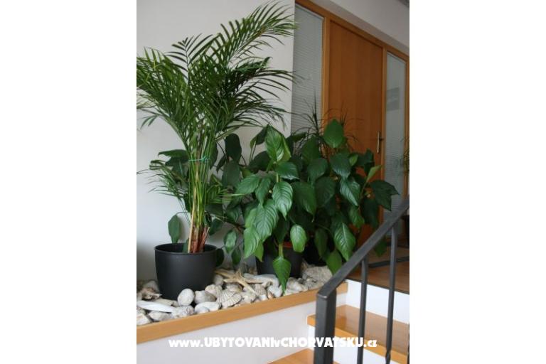 Apartamenty Katarina – foto 4