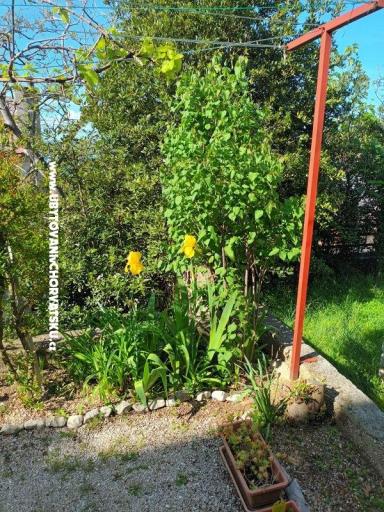 Apartamenty Rosi – foto 6