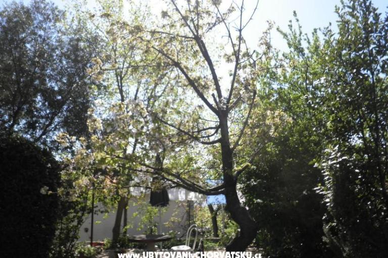 Apartamenty Rosi – foto 9