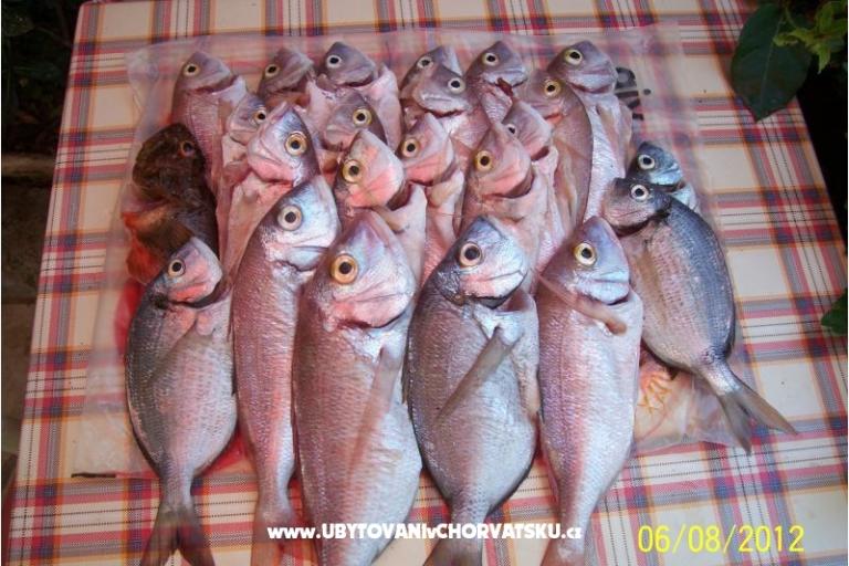 Apartamenty Seka – foto 3