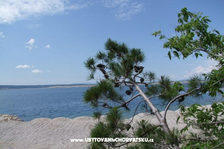 Apartamenty Višnja – foto 13