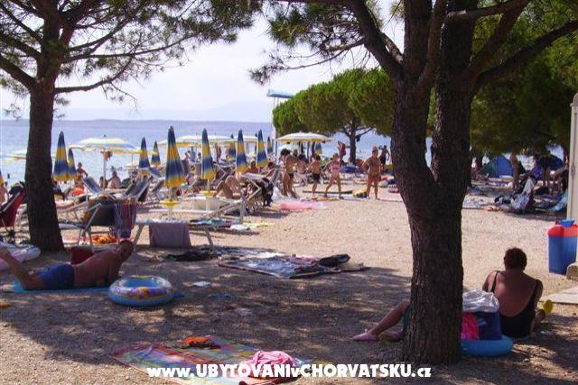 Apartamenty Eva – foto 8