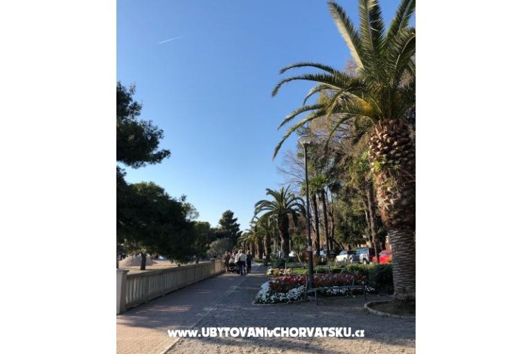 Apartamenty Sun and Sea – foto 10