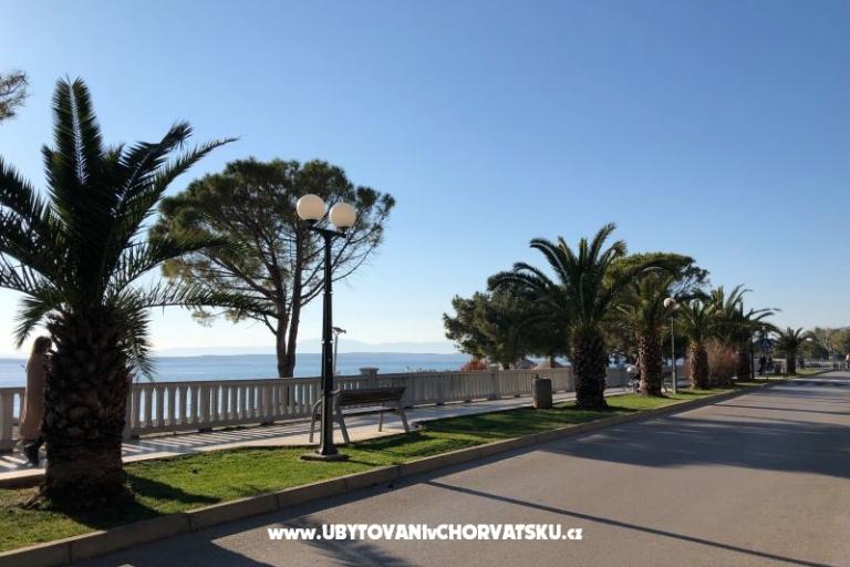 Apartamenty Sun and Sea – foto 11