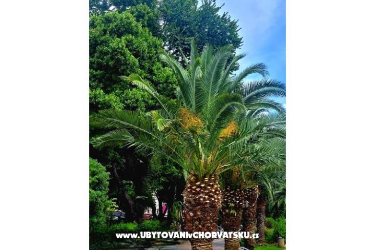 Apartamenty Vukelić Crikvenica – foto 43