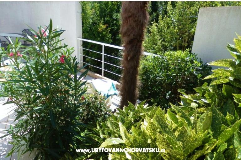 Villetta Magnolia – foto 2