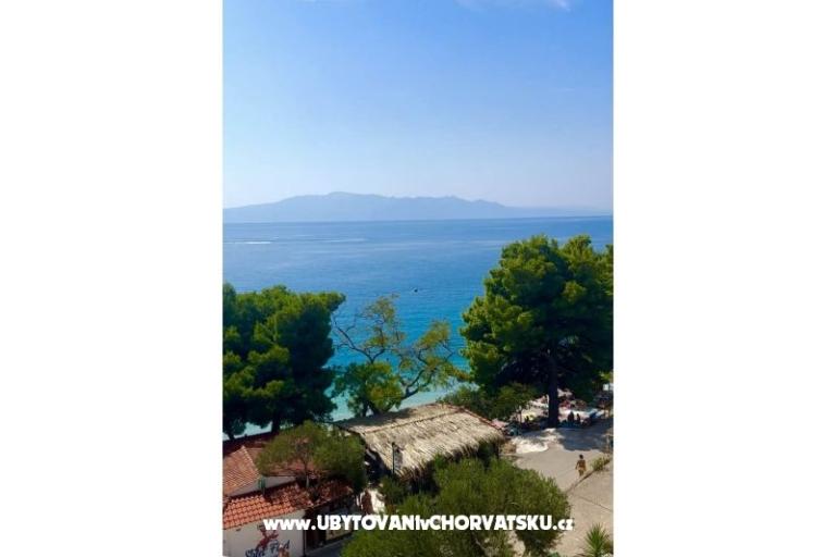 Villa  Delic – foto 21