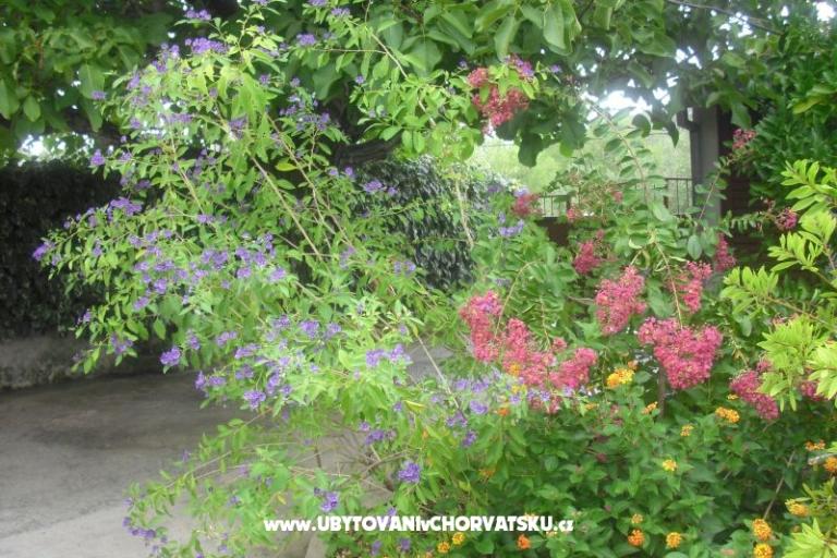 Apartament Jerkunica – foto 12