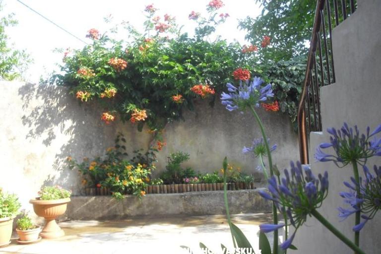 Apartament Jerkunica – foto 8