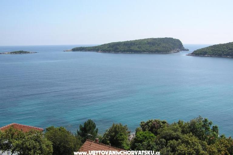 Apartamenty Antunović – foto 15