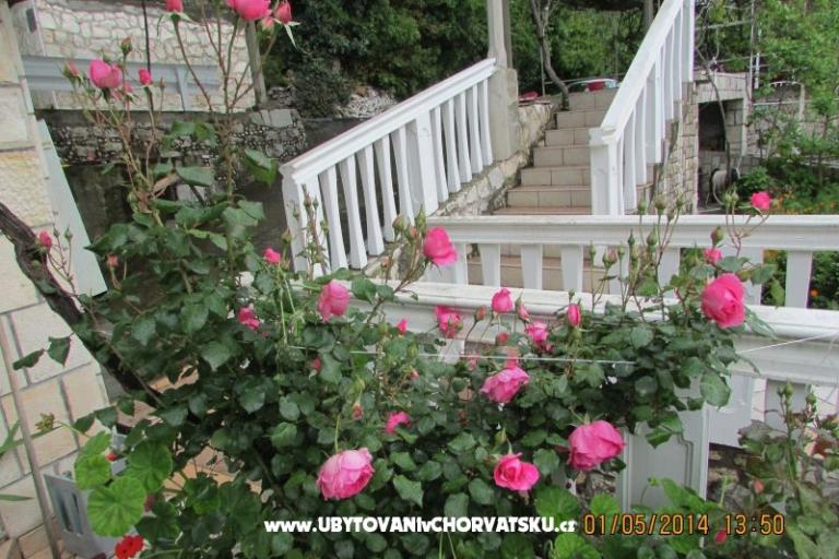 Apartamenty  Anka – foto 17