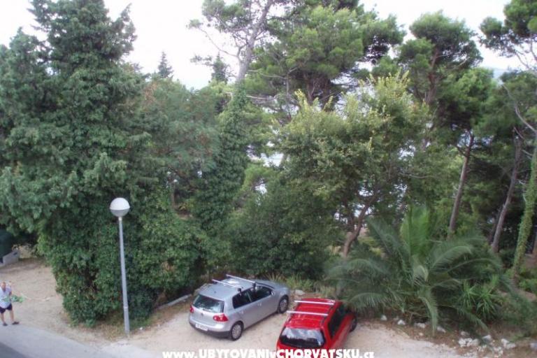 Apartamenty Ankon Mlini – foto 2