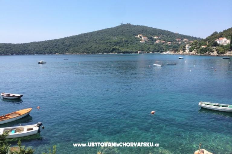 Apartamenty Antunović – foto 11