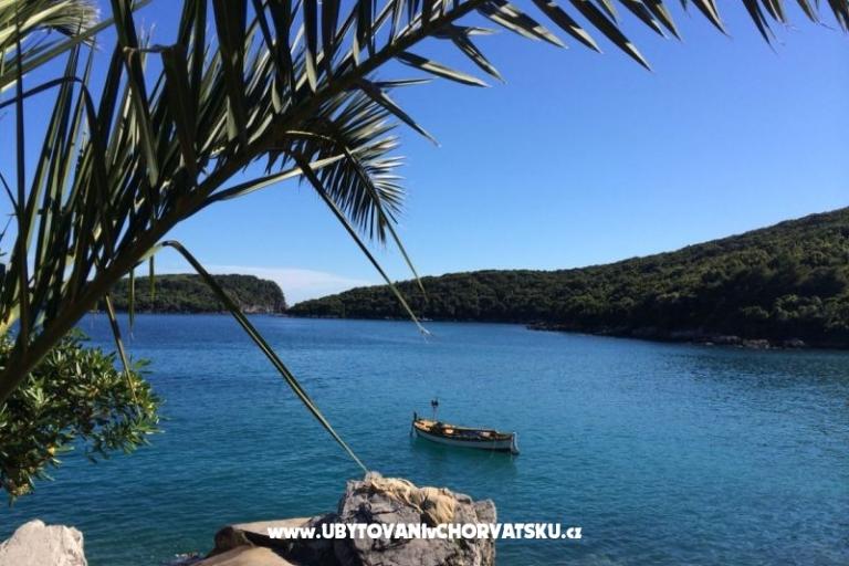 Apartamenty Antunović – foto 16