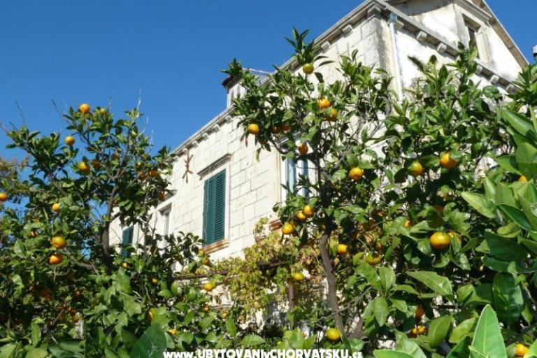 Apartamenty Mir Dubrovnik – foto 2