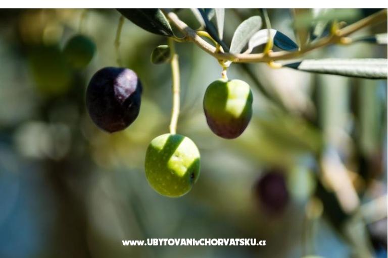 Apartament Franica – foto 13