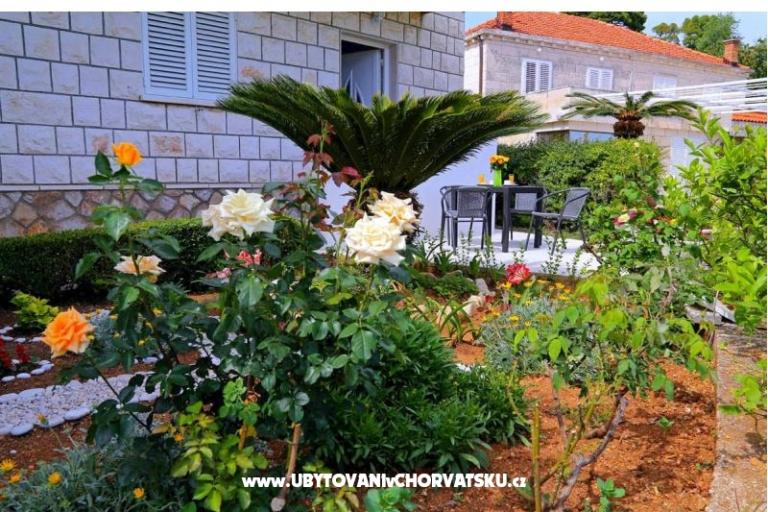 Apartamenty LOVE DUBROVNIK – foto 14