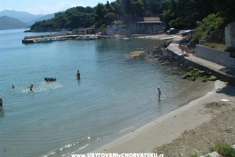 Apartamenty Oliva – foto 8