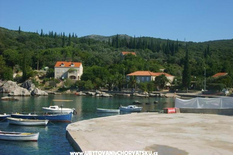 Apartamenty Vidak – foto 7