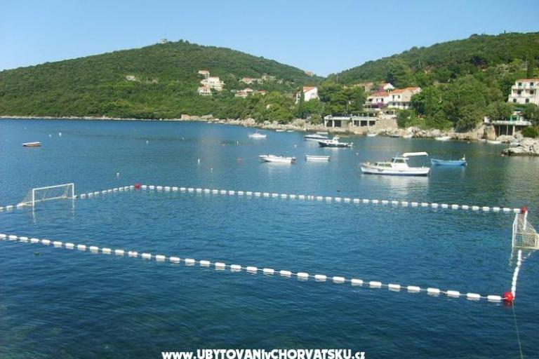 Apartamenty Vidak – foto 9