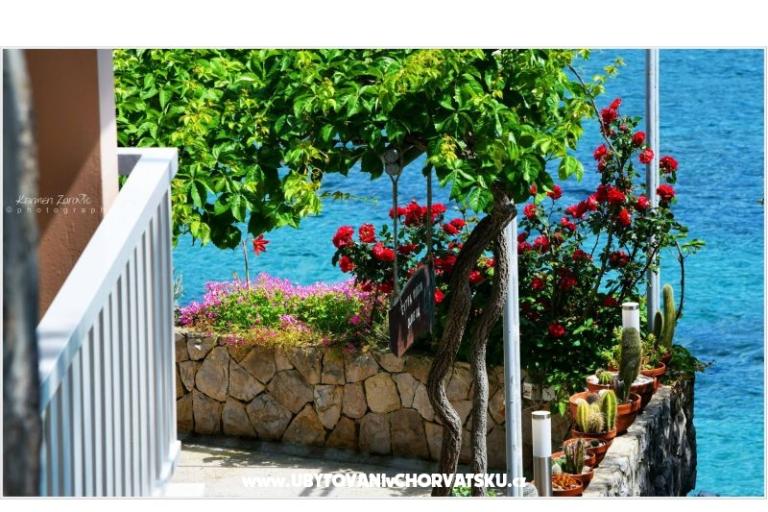 Villa Ana Apartamenty – foto 3
