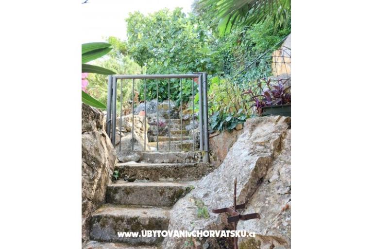 Apartamenty Villa Riva Molunat – foto 17